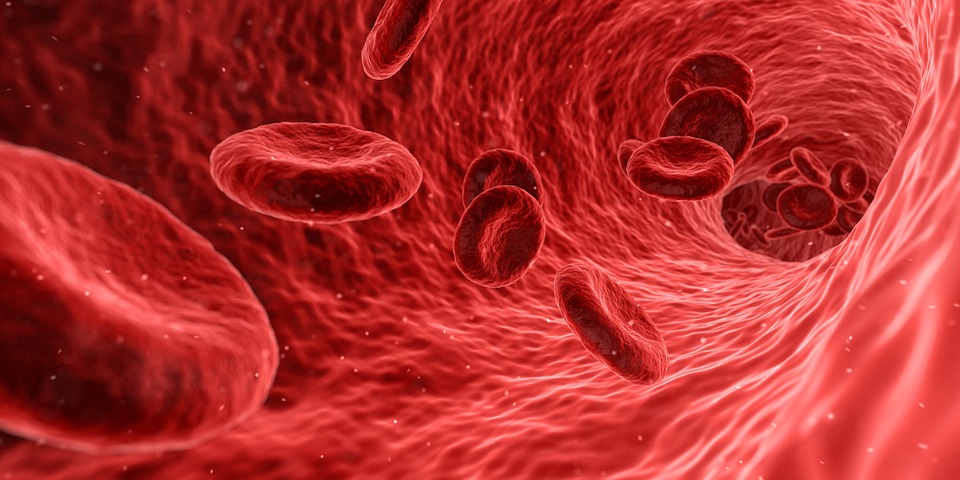 blood cells flowing through an artery